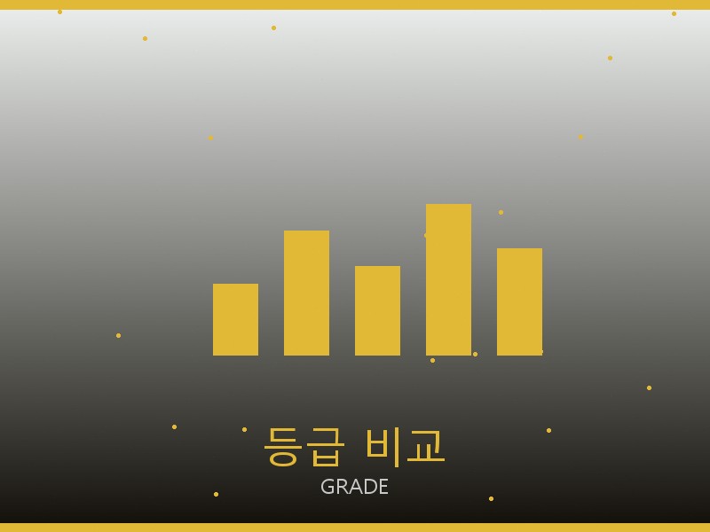 리차드밀 레플리카 사이트 등급 기준 비교